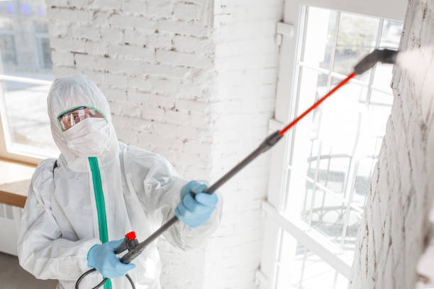 Best Mold Prevention Services  in Brockport, NY