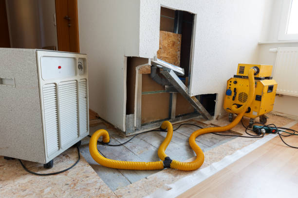 Best Mold Documentation for Insurance Claims  in Brockport, NY